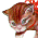 Runtell the Cat